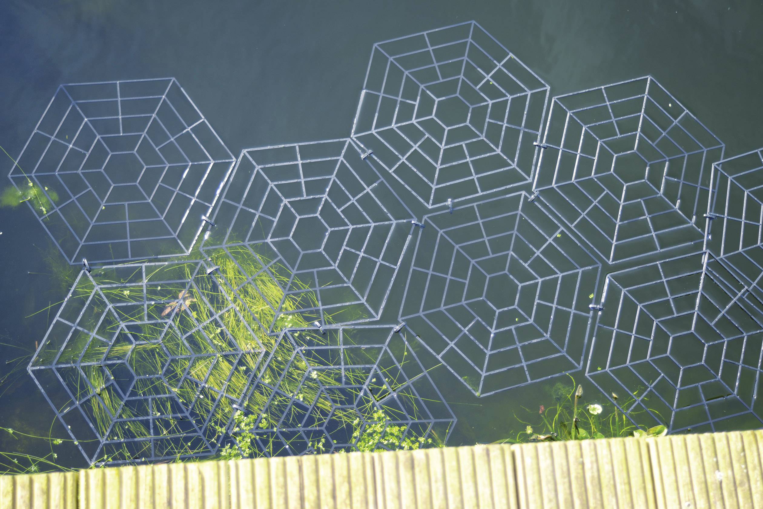 Metal structures in the water, looking like spider webs. They float beside a wooden jetty with plants in between.