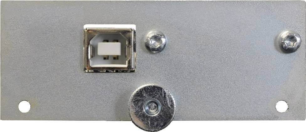 Metal plate with a USB port in the centre, secured by two screws at the top and one large screw at the bottom.