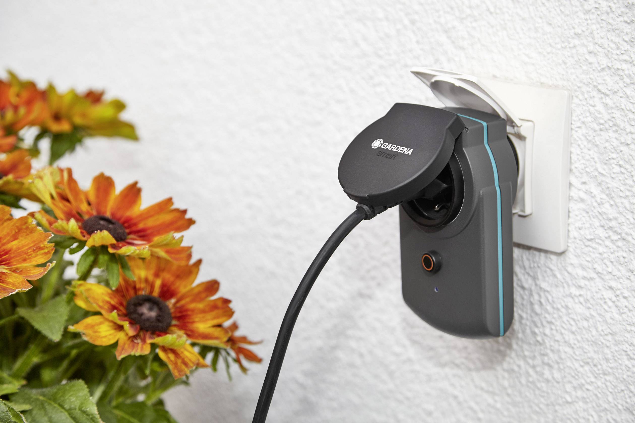 Gardena irrigation control system in a wall socket, next to colourful flowers.