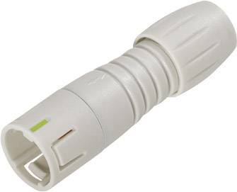 binder 99 9205 400 03 Micro DIN connector Plug, straight Total number of pins: 3 1 pc(s)