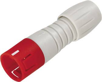 binder 99 9209 450 04 Micro DIN connector Plug, straight Total number of pins: 4 1 pc(s)
