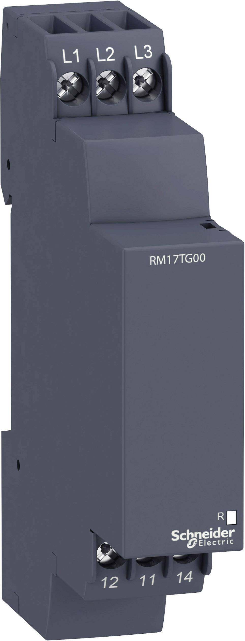 Black electric relay by Schneider Electric, model RM17TG00, with terminal blocks on top and bottom, marked L1, L2, L3.