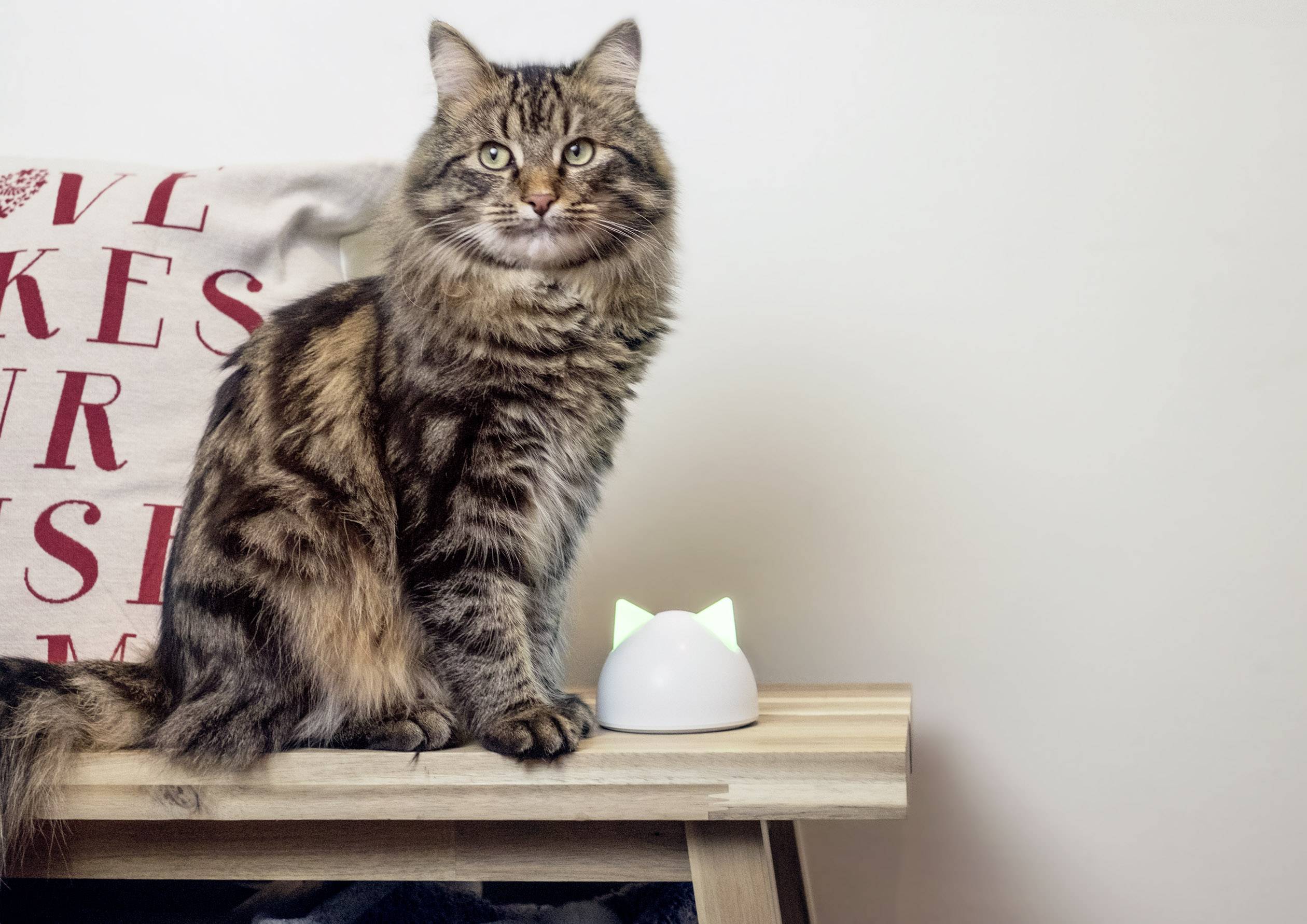 SureFlap Hub Connect hub 1 pc(s)