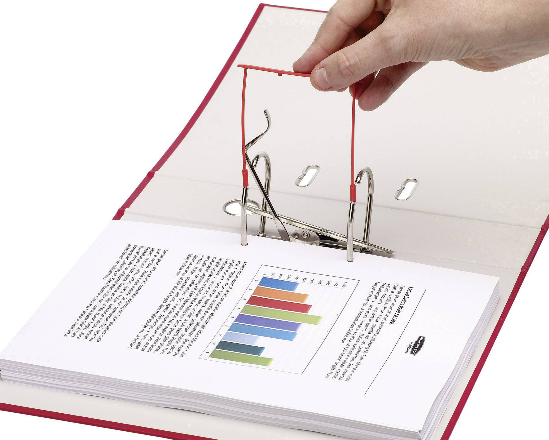 Folder with an opening hand, pages and a coloured diagram; shows the graphical representation of data and text contents.