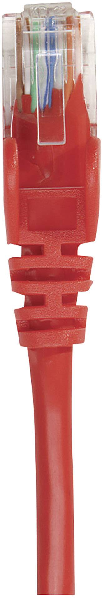 Red Ethernet cable with transparent connector, used for network connections and data transmission.