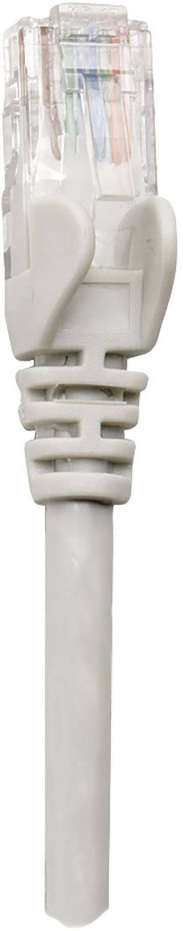 A white Ethernet cable with a transparent RJ-45 connector reveals the internal wires in different colours.