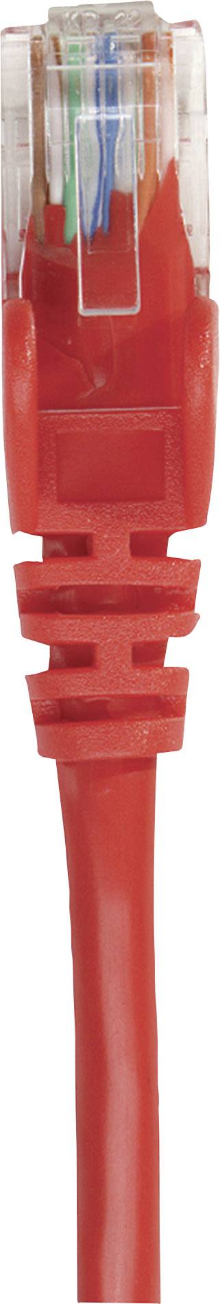 Red network cable with transparent RJ45 connector, suitable for Ethernet connections.