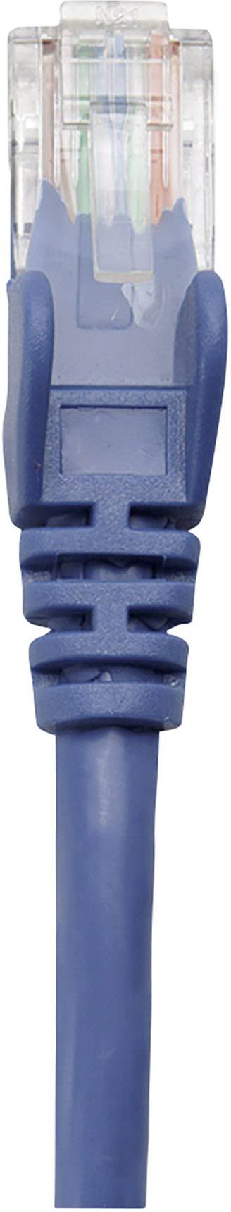 A blue Ethernet cable with a transparent connector, used for network connections.
