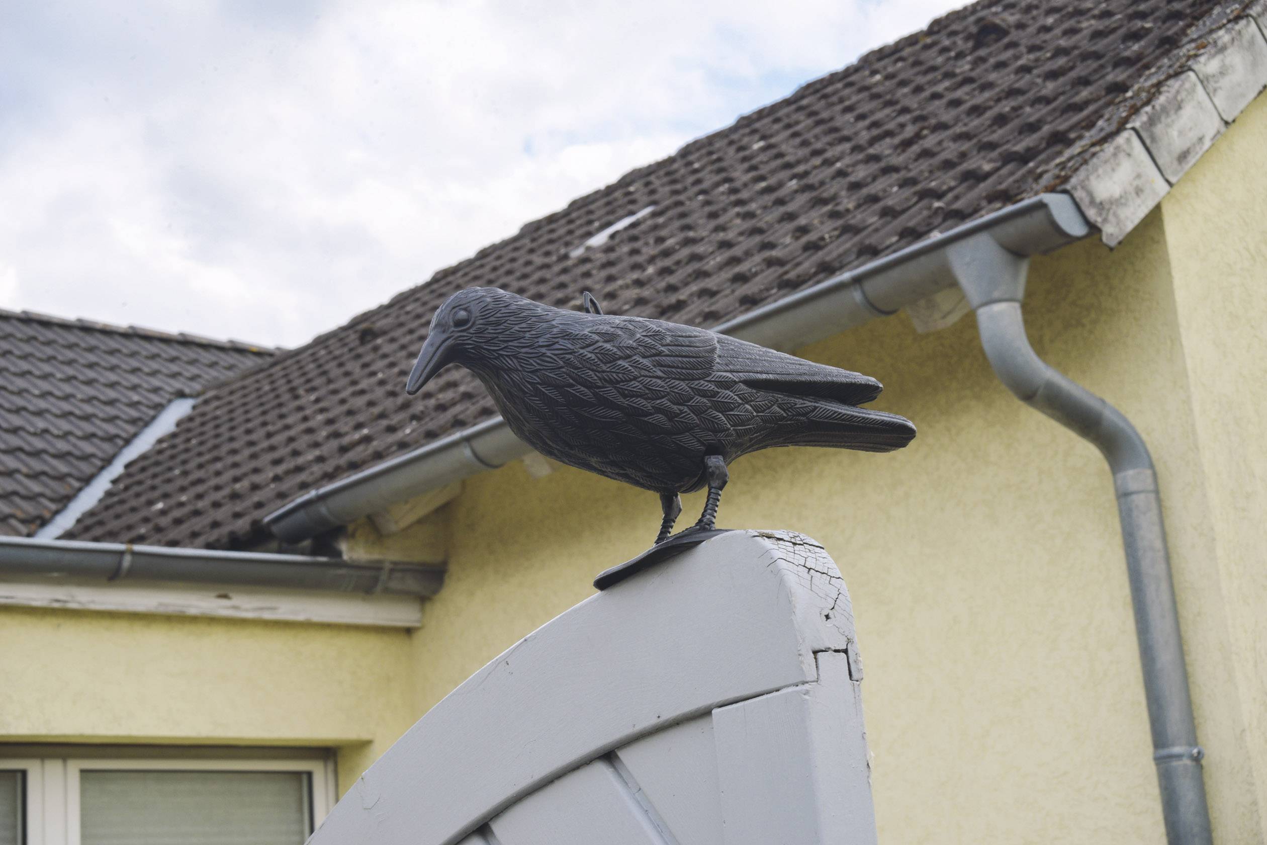 Gardigo crow Raven pigeon scarer Working principle Deterrent 1 pc(s)