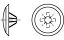 TOOLCRAFT Decorative caps Plastic TO-5454921 1000 pc(s)