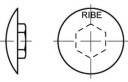 TOOLCRAFT Decorative caps Plastic TO-5455044 500 pc(s)