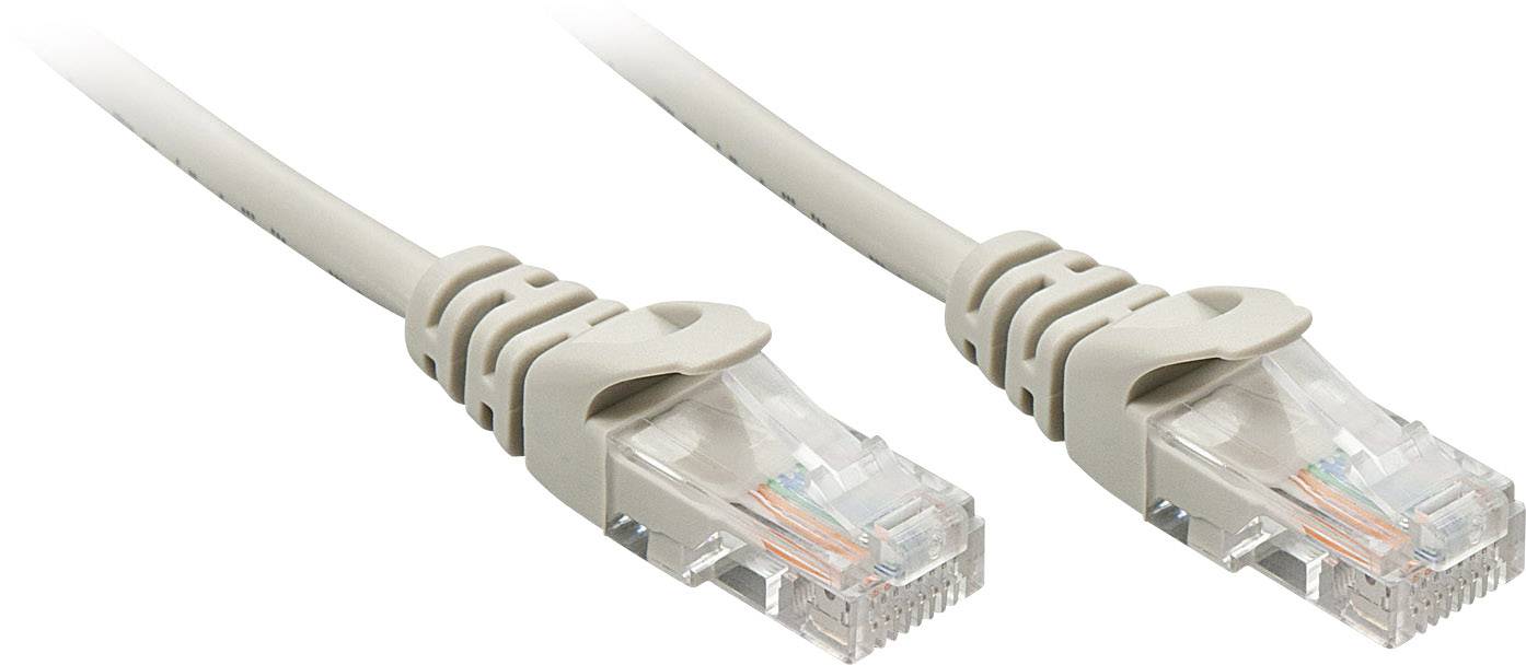 Two RJ45 Ethernet cables with transparent plugs and beige sheaths, used for network connection.