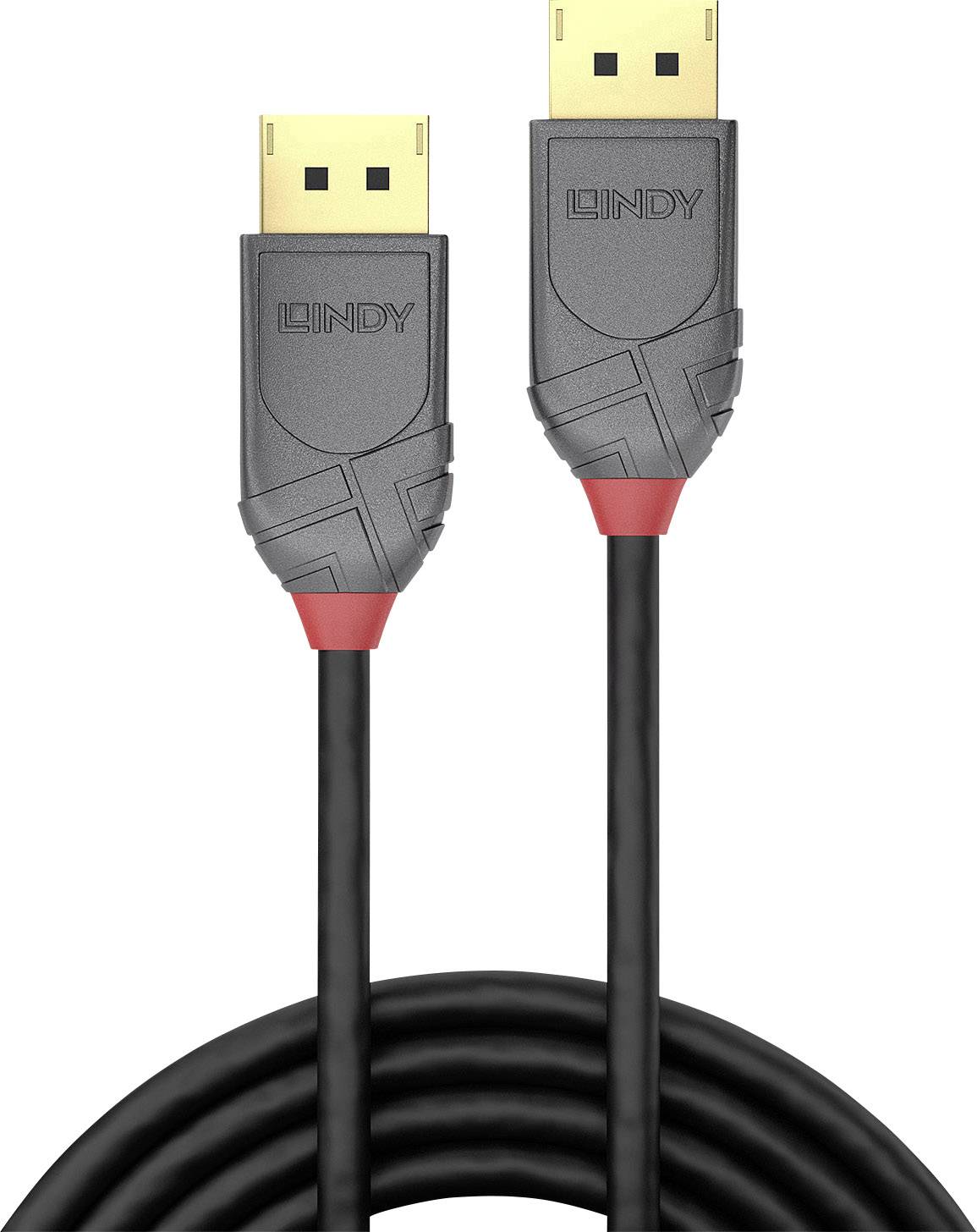 Two DisplayPort plugs with black cables, with the 'Lindy' brand visible on each plug.