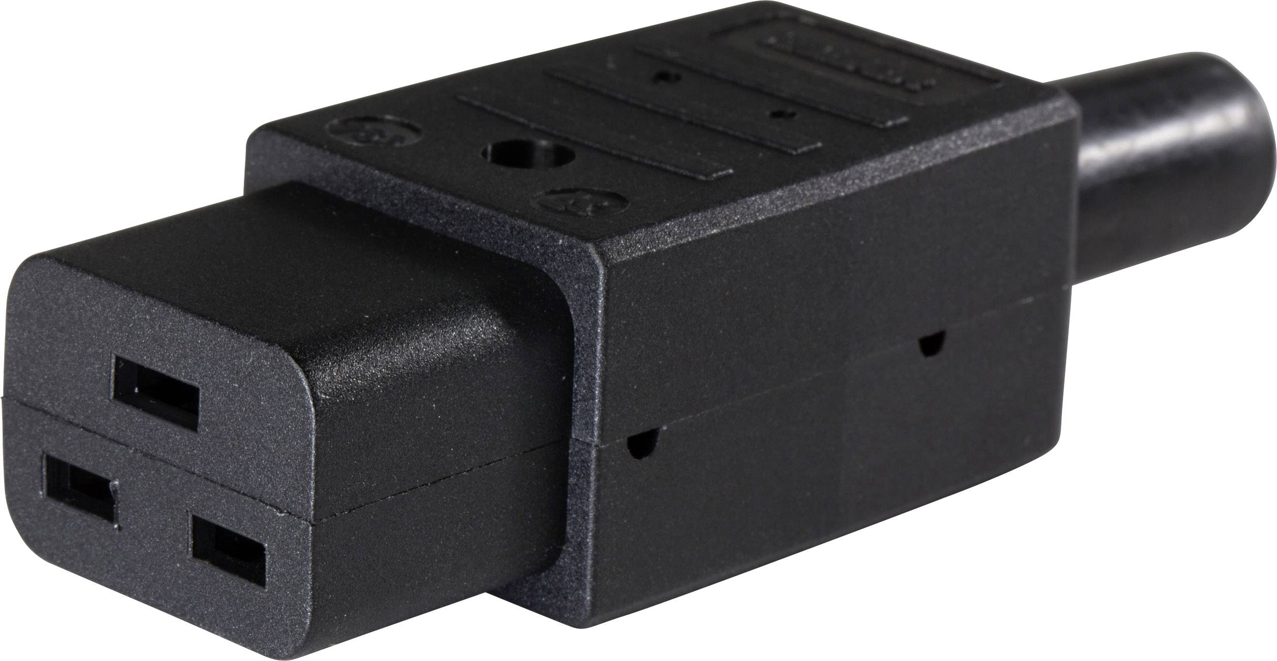 AS Schwabe 62085 IEC connector Plug, straight Total number of pins: 2 10 A Black 1 pc(s)