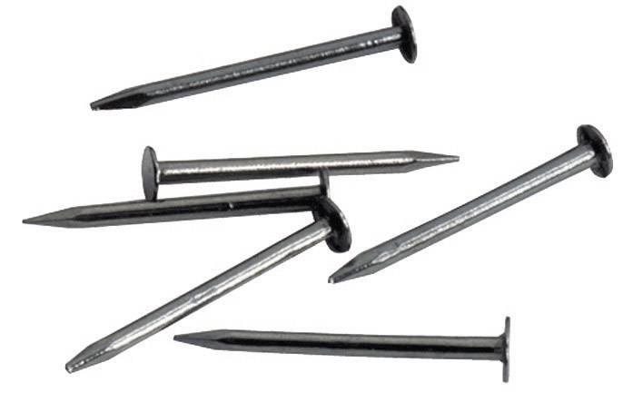 Several silver nails are scattered on a white background. They are positioned in different directions.