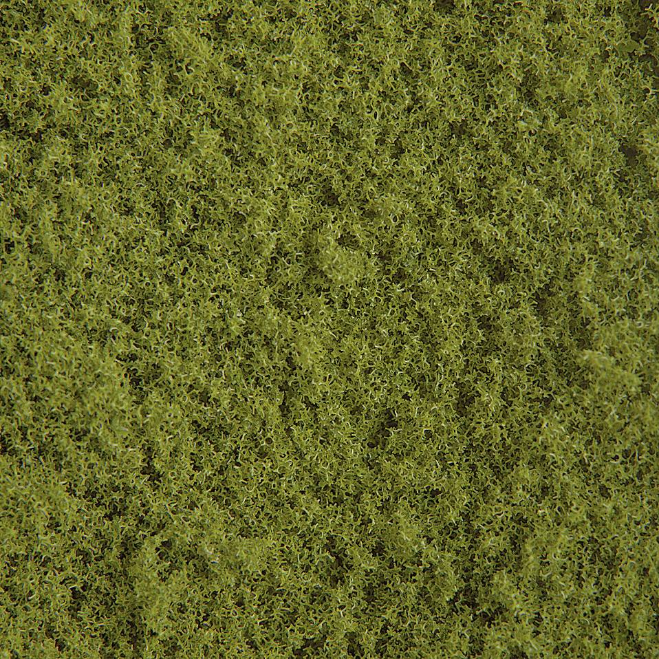 Dense, green moss surface covering the ground.