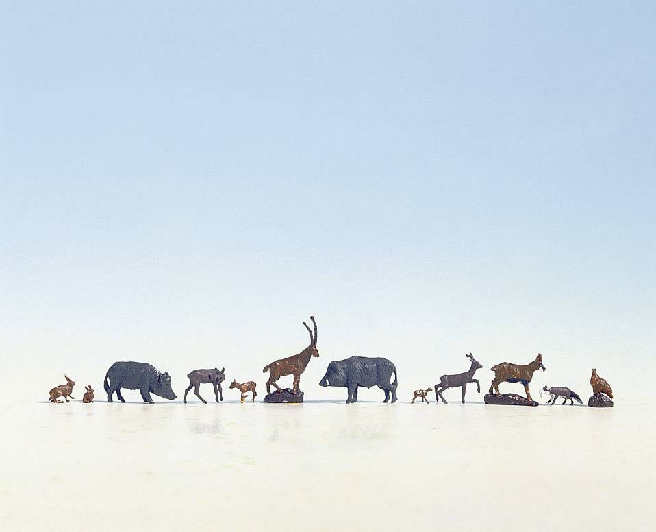 A series of miniatures of animals such as rhinoceros, gazelle and other mammals standing on a flat, reflective surface.