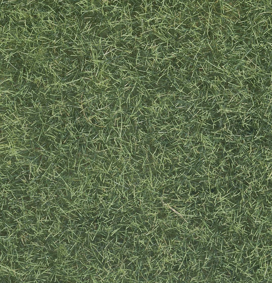Dense, green grass covers an even surface.