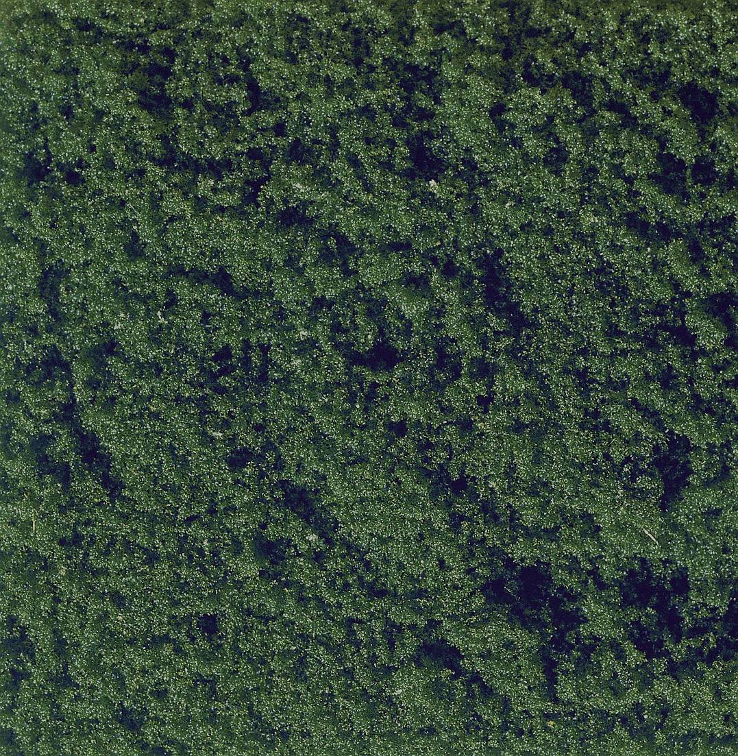 Aerial view of a dense green forest covering the entire image area.