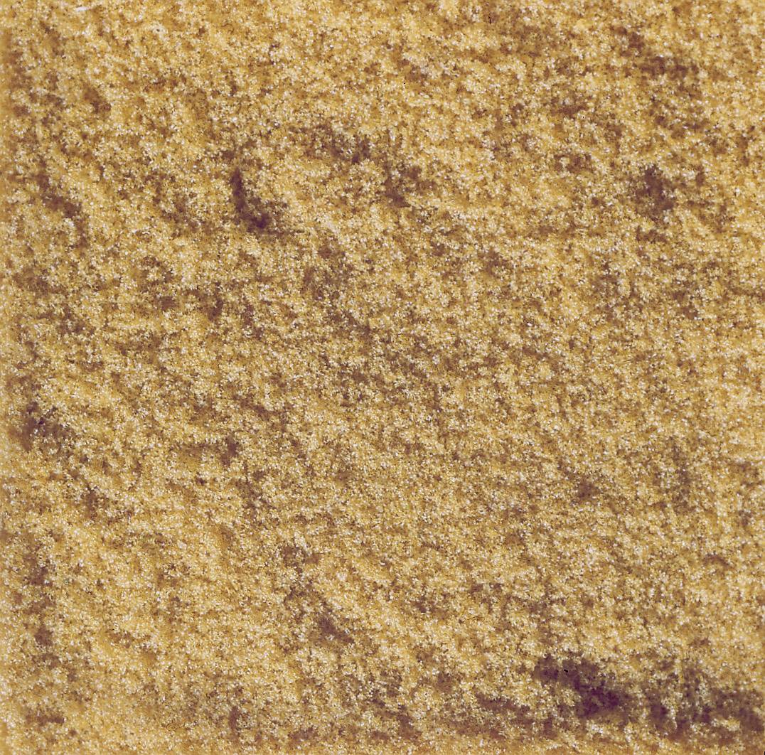 Rough, light brown structure that looks like a close-up of a sandpaper surface.