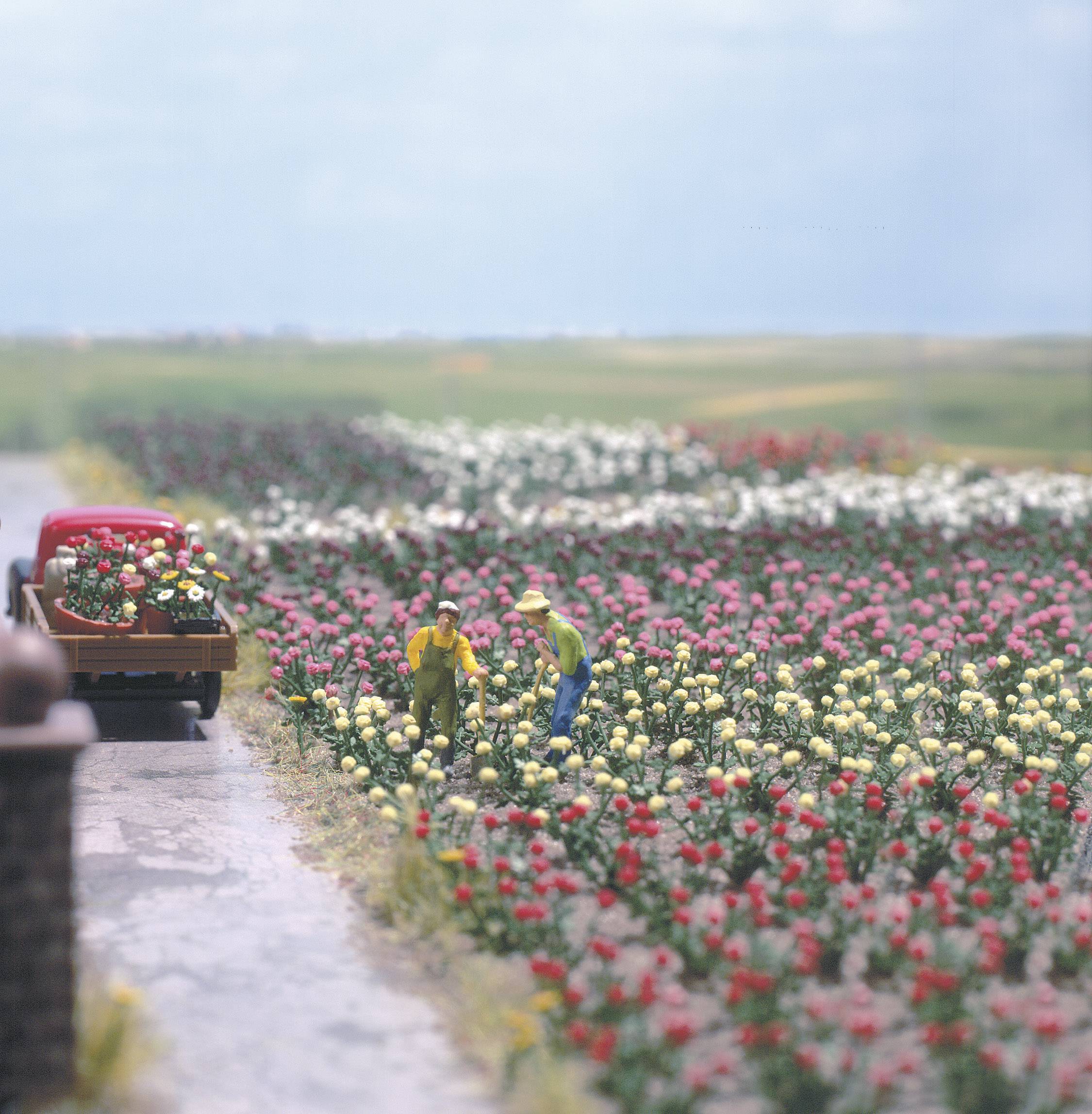 Busch 1205 H0 120 Roses Assembly kit