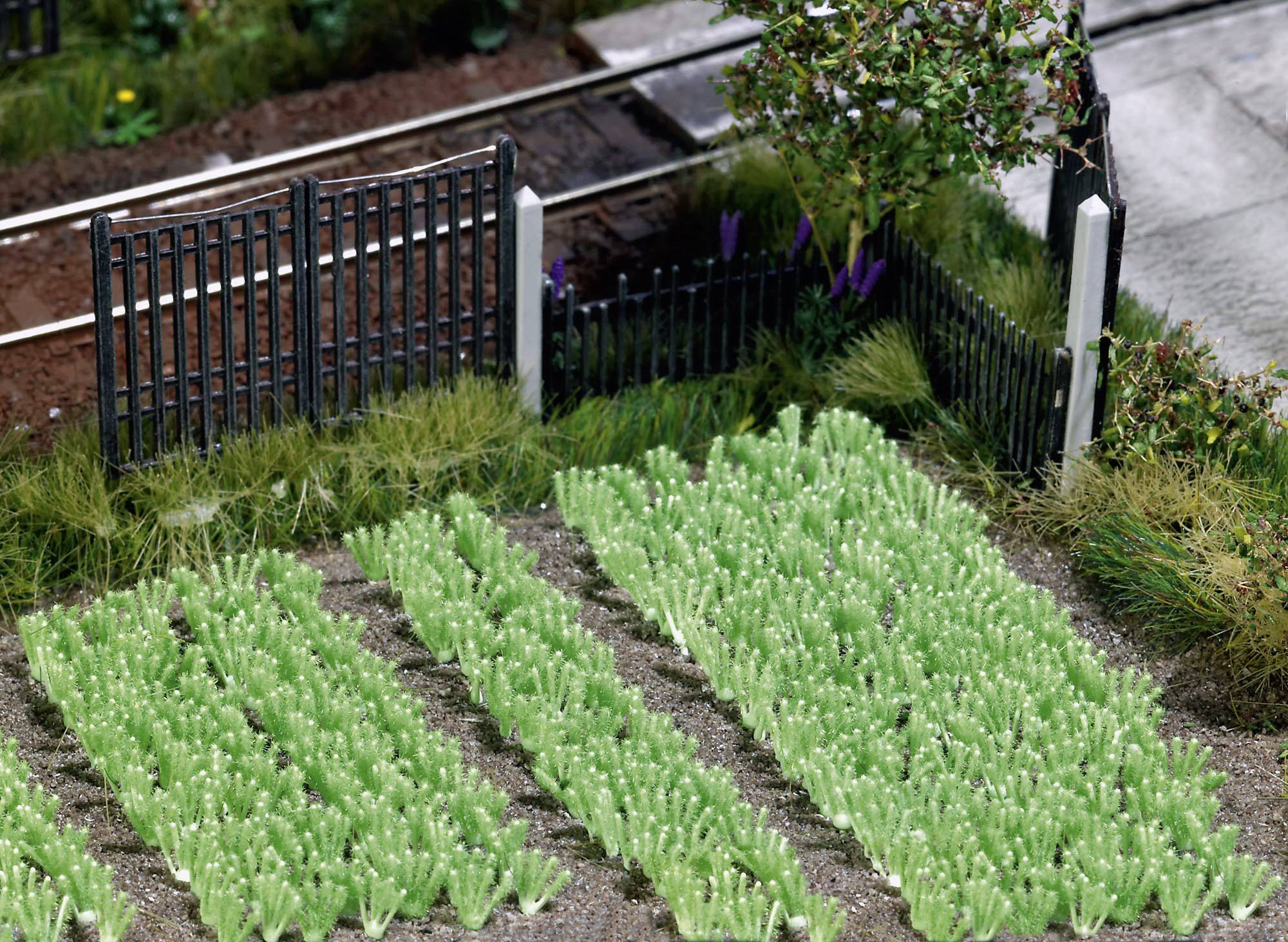 A model garden with several rows of green plants, next to a small fence and railway tracks.