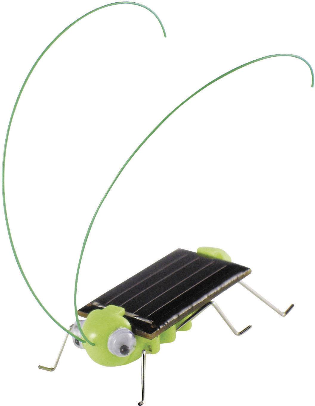 A small, green and black solar-powered toy in the shape of a grasshopper with long antennae.