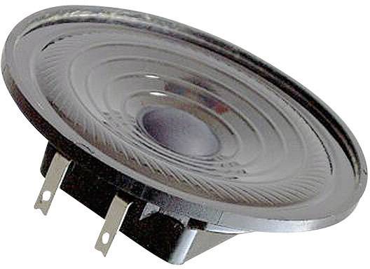 Speaker membrane in close-up shows the curved, round shape and the connections.