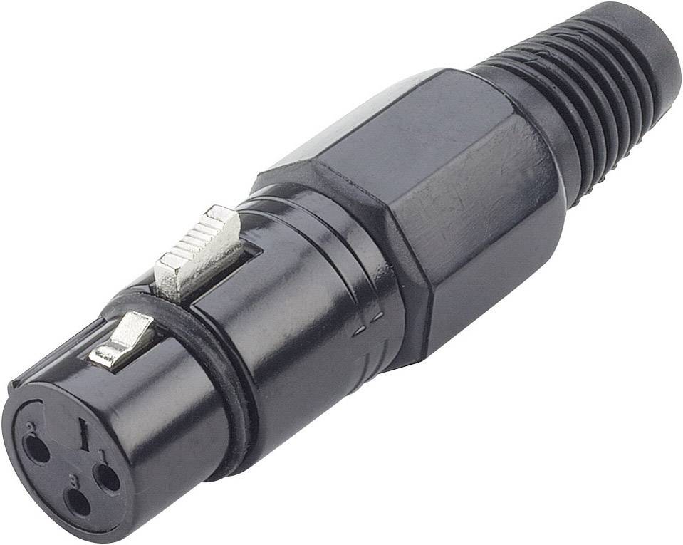 Paccs HST31 XLR plug