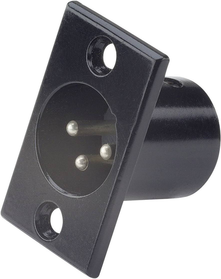 Paccs HST81EB XLR socket