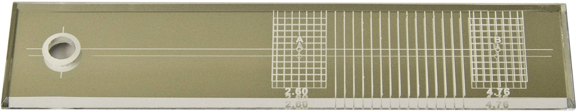 Lineal with circular and rectangular patterns in various sizes and spacings on a transparent surface.