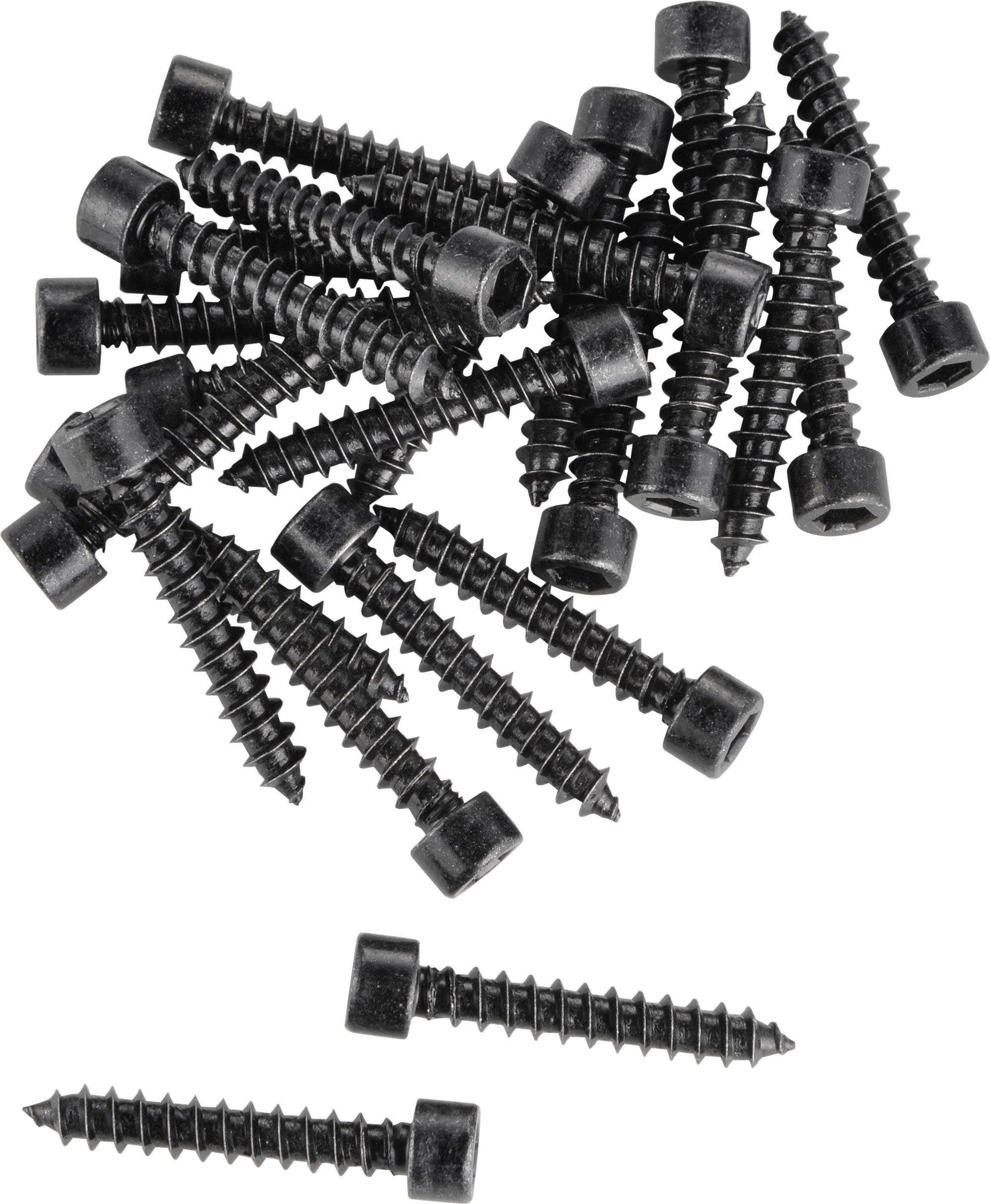 Visaton 5082 Speaker screw 24 pc(s)