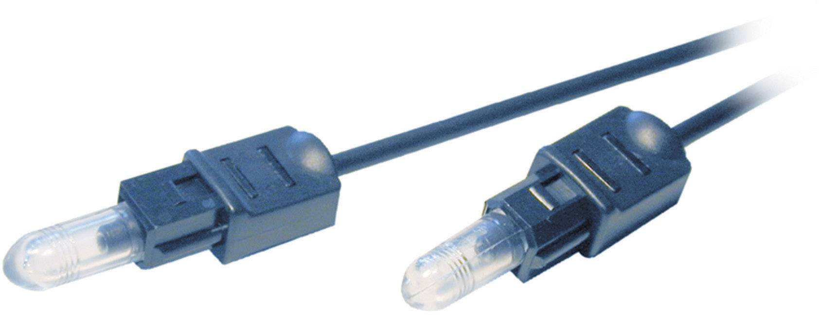 Two black optical TOSLINK cables with transparent ends for transmitting digital audio signals.