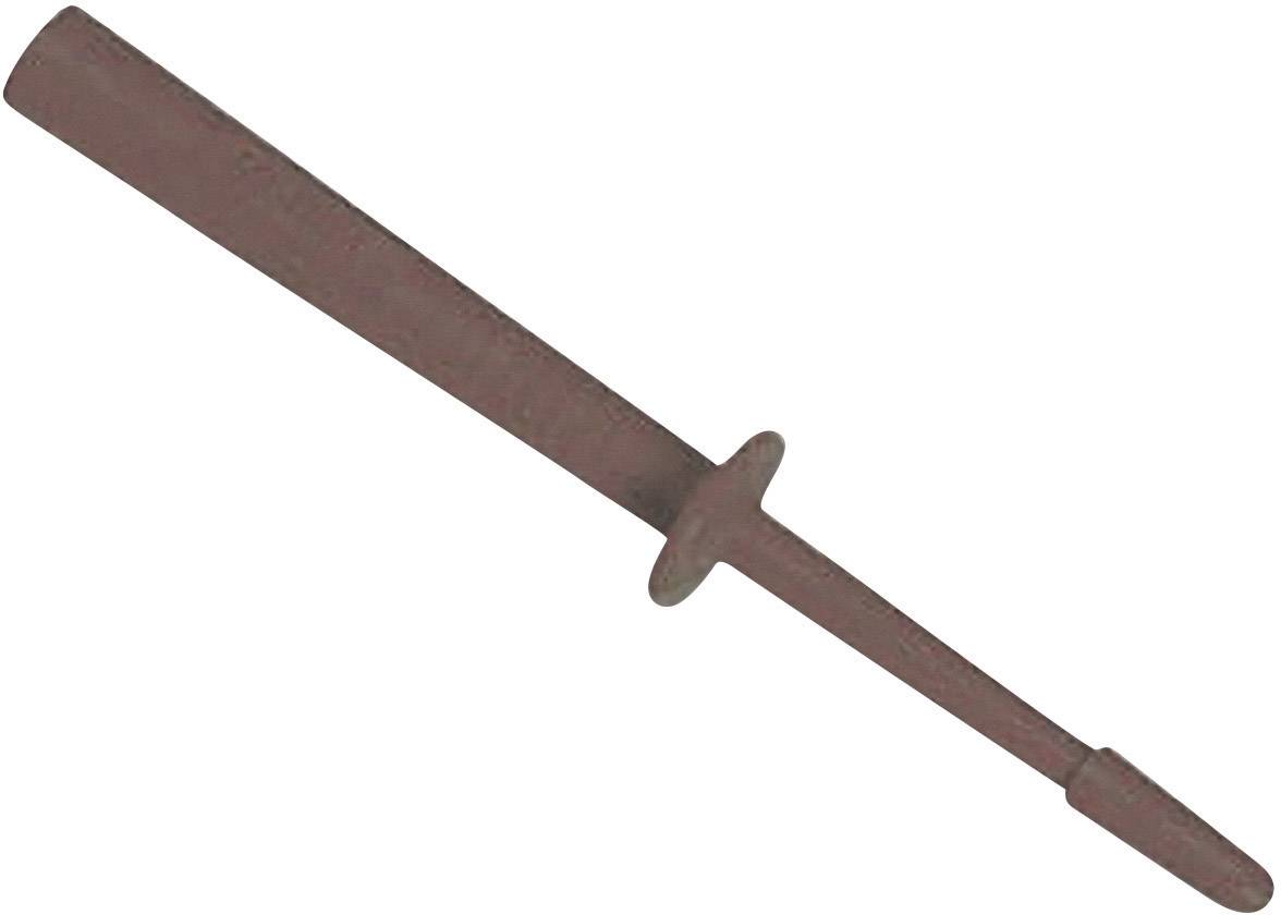 A rusty tool with a long handle and a narrow, pointed end.