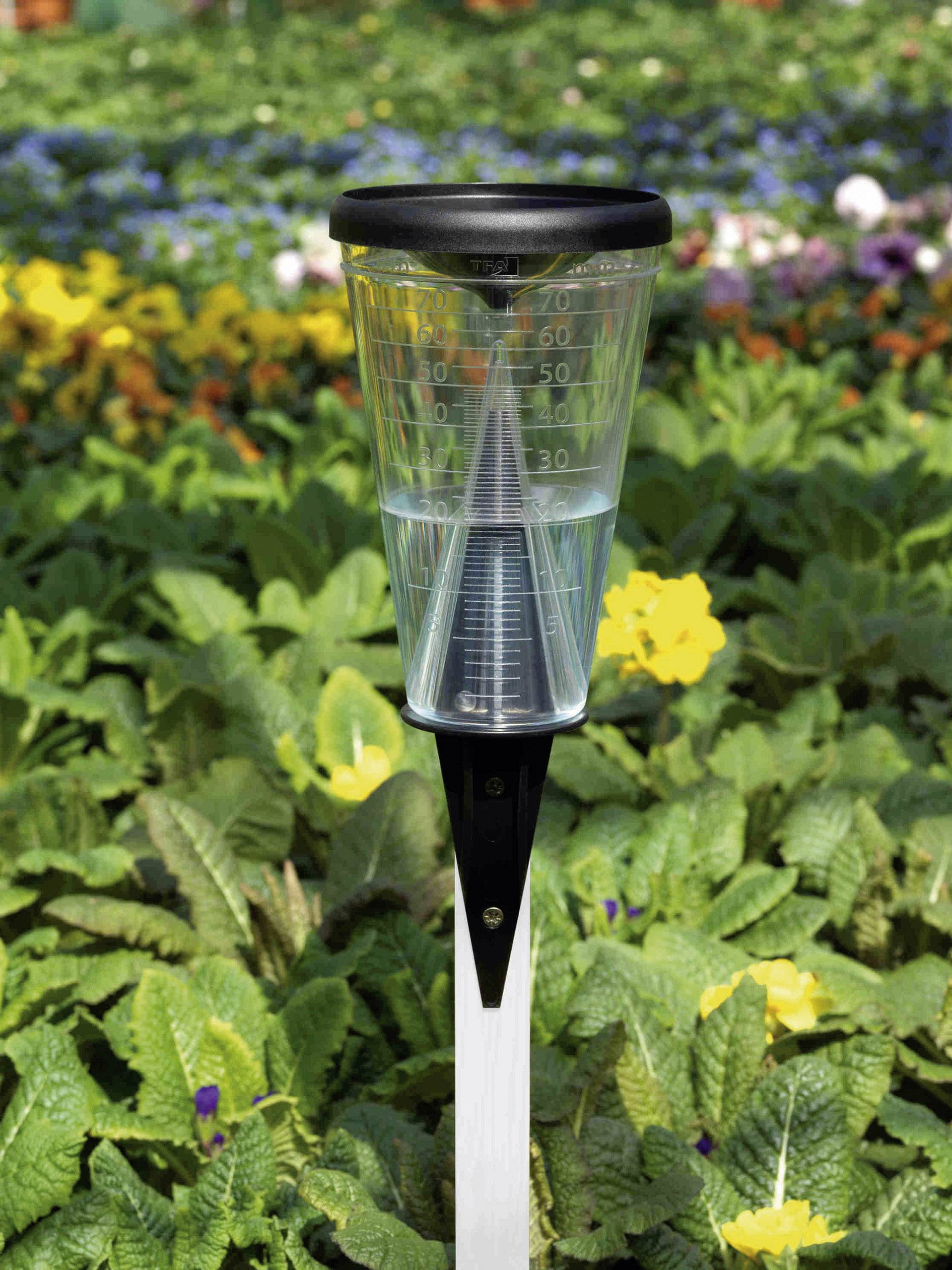 Rain gauge in the garden, half-filled with water, surrounded by flowering plants in the background.