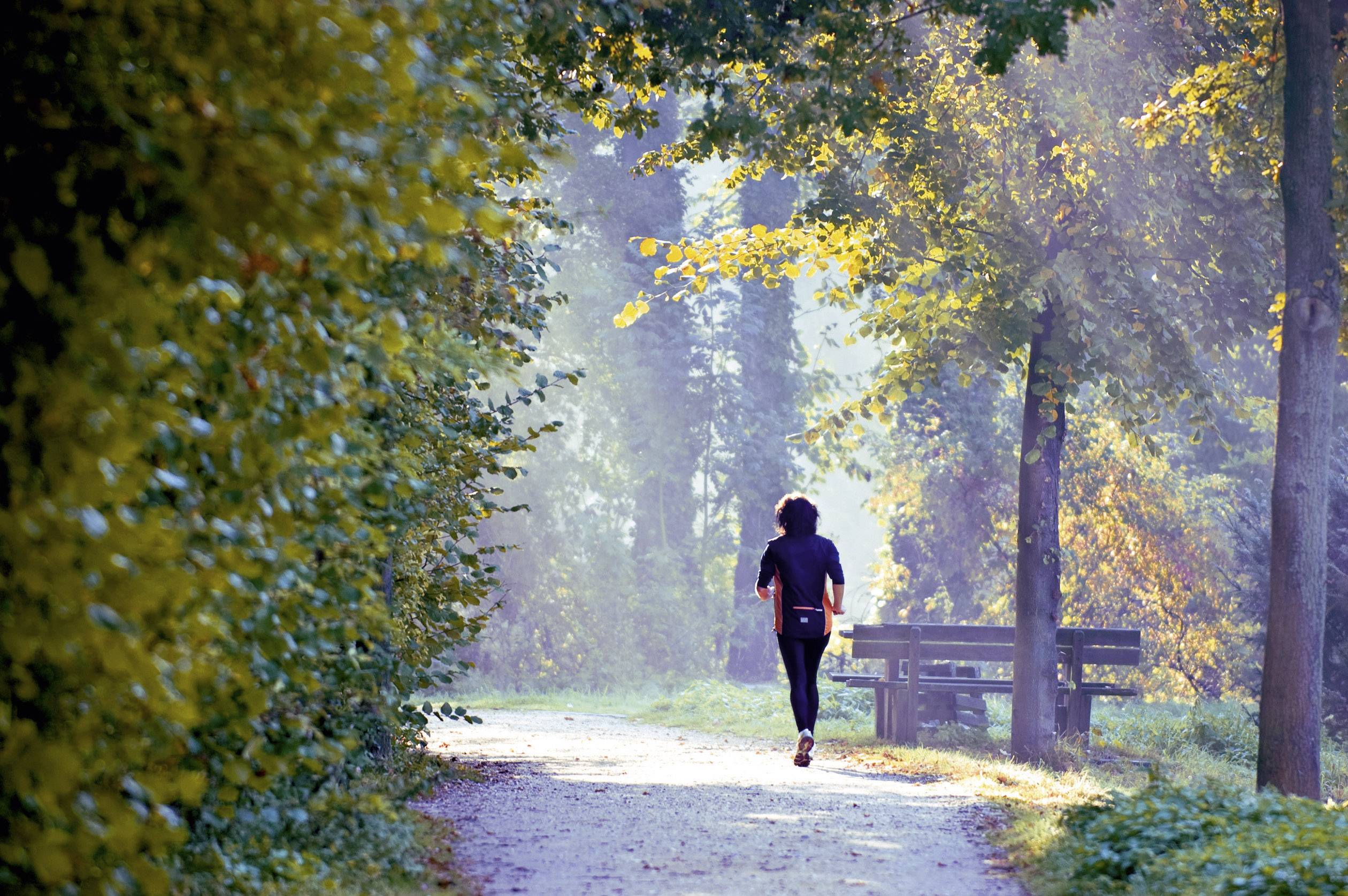 A person is jogging along a woodland path, surrounded by autumn trees and light mist. Dense vegetation is on the left, with a bench on the right.