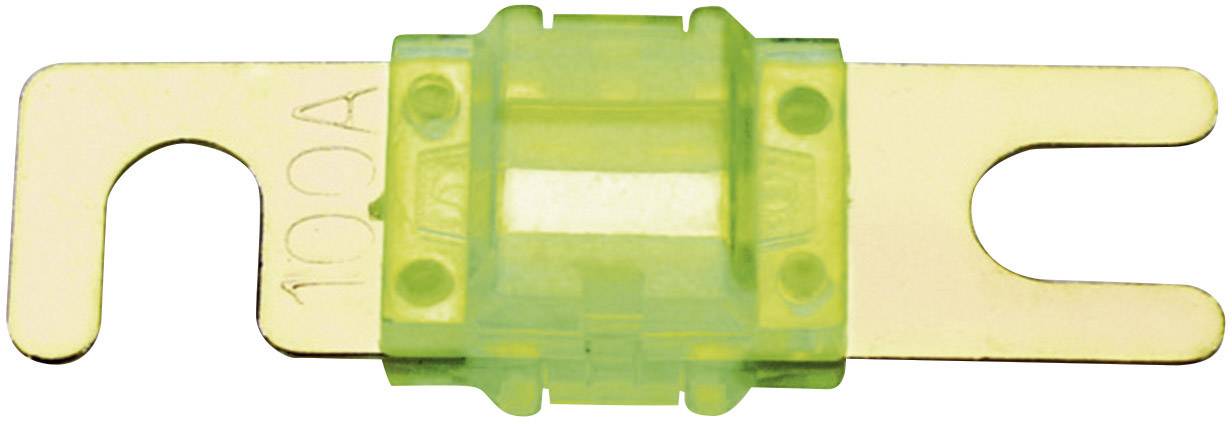 Sinuslive Car audio ANL fuse 100 A 1 pc(s)