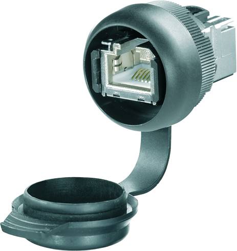 A network plug with a detachable protective cap, suitable for Ethernet connections, shows the inner connection pins.