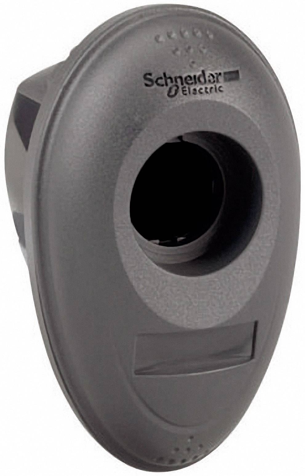 Electrical socket by Schneider Electric in an oval, black design.