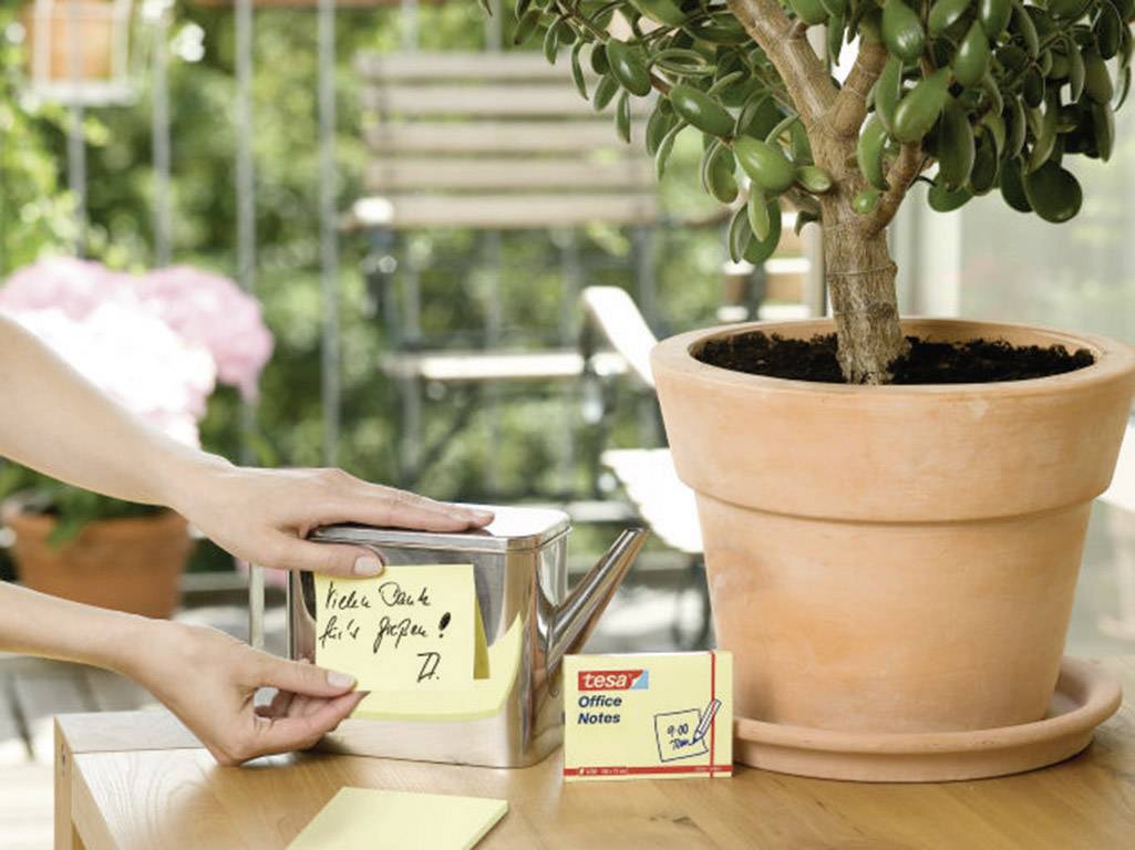 A plant in a terracotta pot on a table, with a hand sticking a yellow Post-it note onto a tin. A balcony is visible in the background.