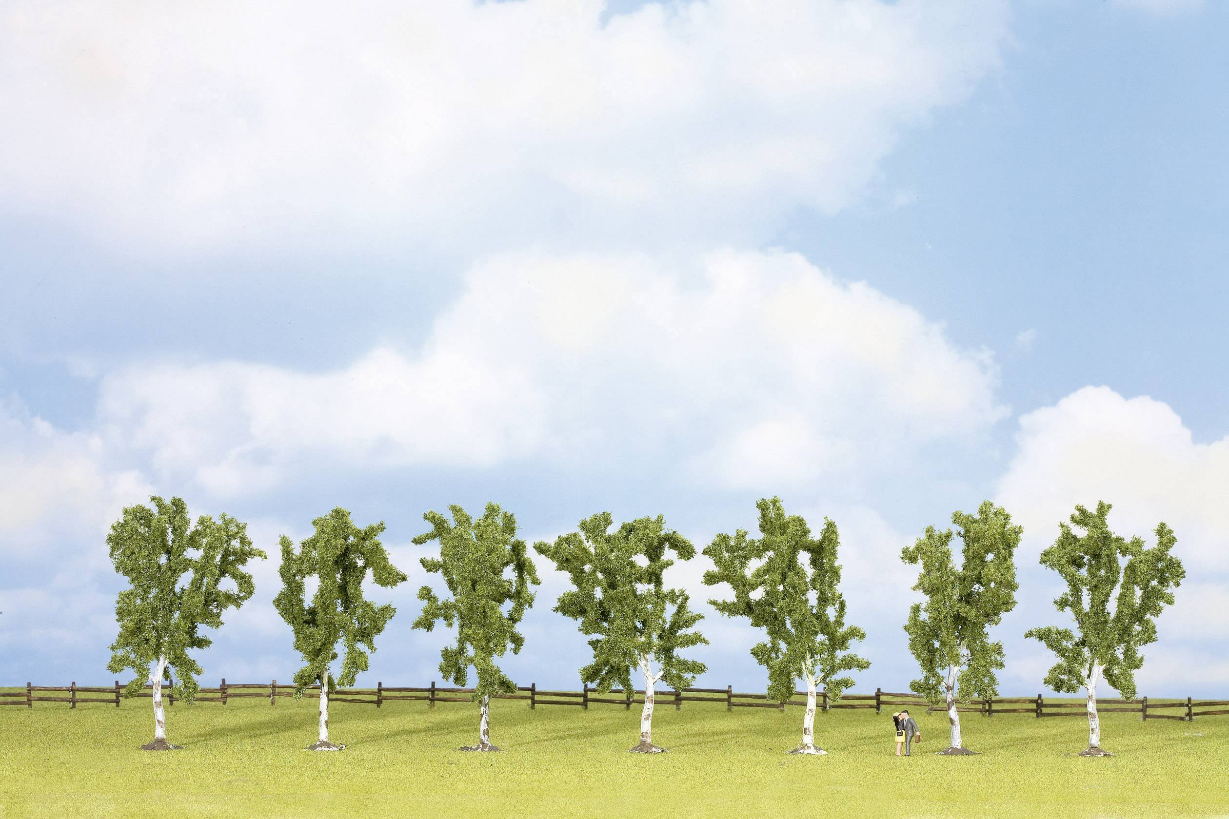 Seven trees in a row on a meadow with a bright sky and clouds in the background. A person is kneeling beside one of the trees.