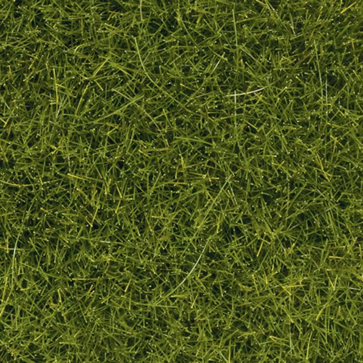 Dense, green grass with natural, uneven blades forming a lively and organic texture.