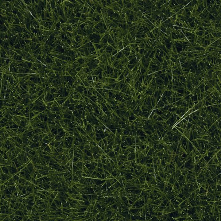 Dense, uniform green grass that completely covers the ground. Ideal for a well-maintained and natural lawn.