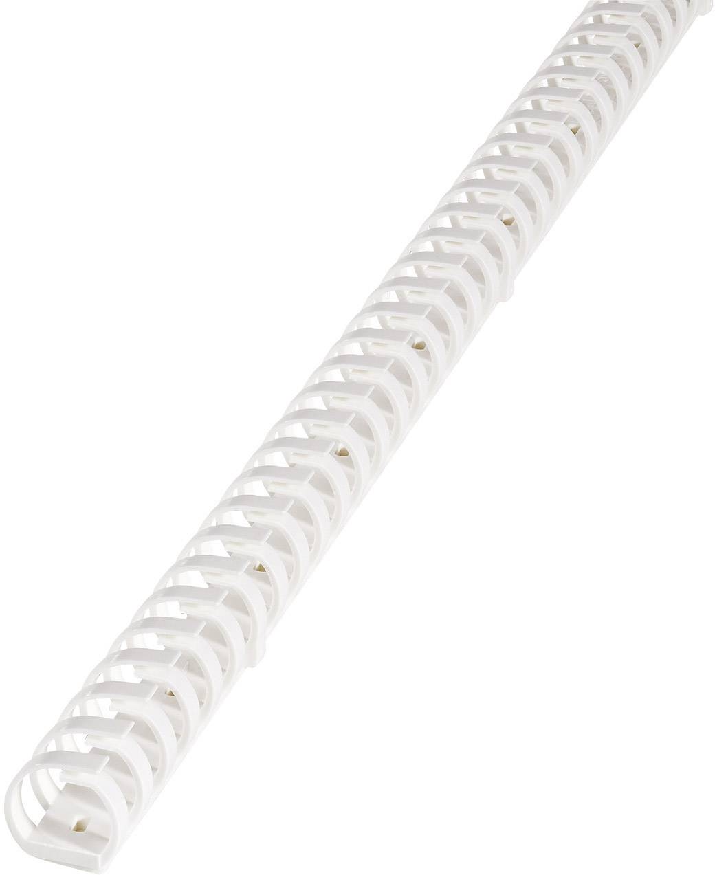 A white plastic spiral binder commonly used for binding documents. Top-down view with diagonal orientation.