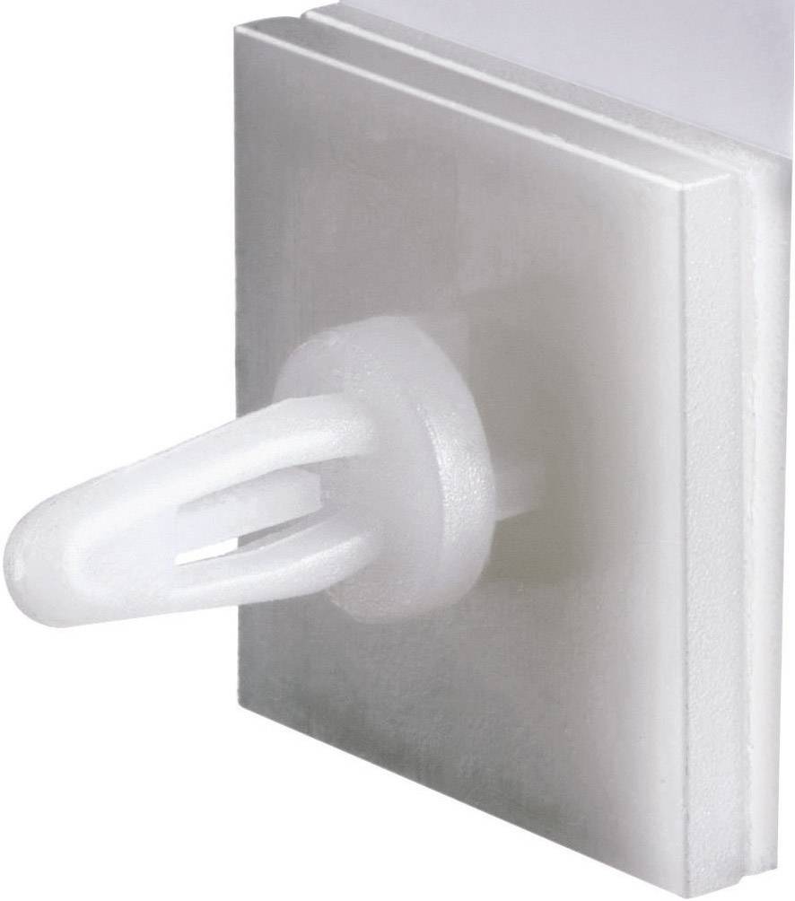 A white light switch or socket in close-up, mounted on a smooth surface.