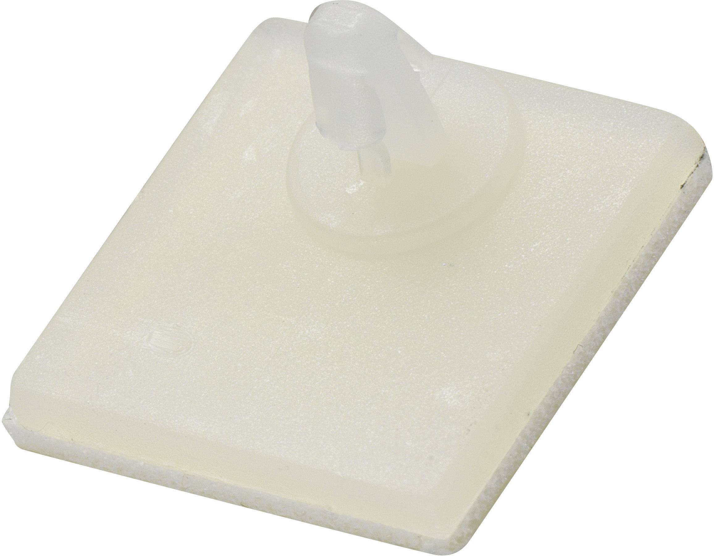 Transparent plastic bi-hook with a square base, suitable for holding components or fixing in electronic applications.