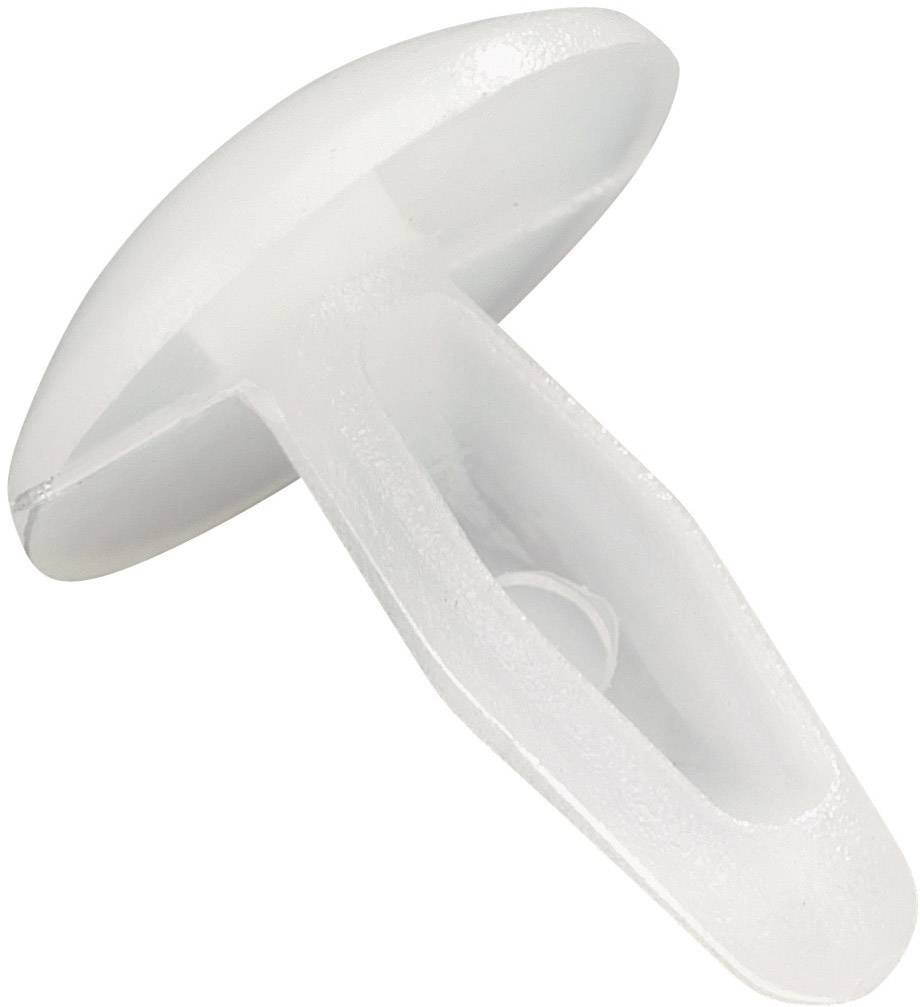 A white, mushroom-shaped plastic wall plug used for securing items to walls.