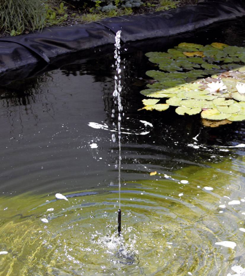 A small pond with a narrow fountain jet in the centre, surrounded by floating water lily leaves.