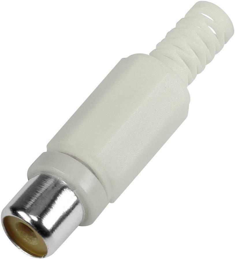 BKL Electronic 1108014 RCA connector Socket, straight Number of pins: 2 White