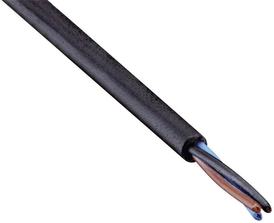 Two-core electrical cable with a black outer sheath, containing a blue and a brown wire, with insulated ends visible.